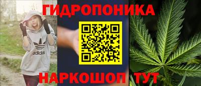 PSILOCYBIN Малгобек