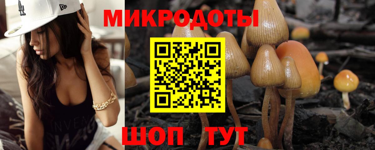 Галлюциногенные грибы Psilocybe  Вход с VPN  Шахты  Галлюциногенные грибы мицелий 